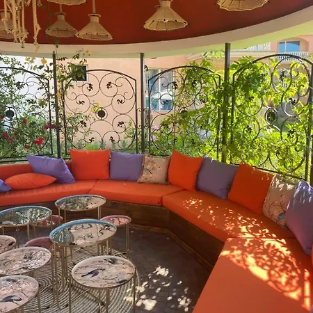 Hacienda Complex- Nicoleta