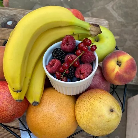 Hacienda Complex- Nicoleta Apartment Sosopol